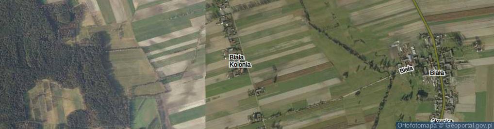 Zdjęcie satelitarne Biała Kolonia ul.